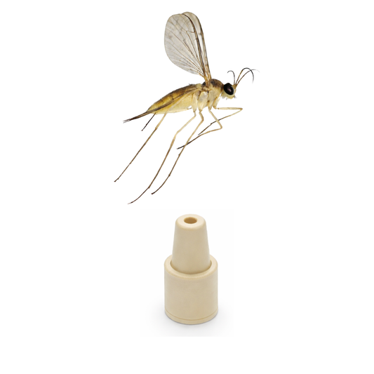 Blueberry Gall Midge (Dasineura oxycoccana) Lure