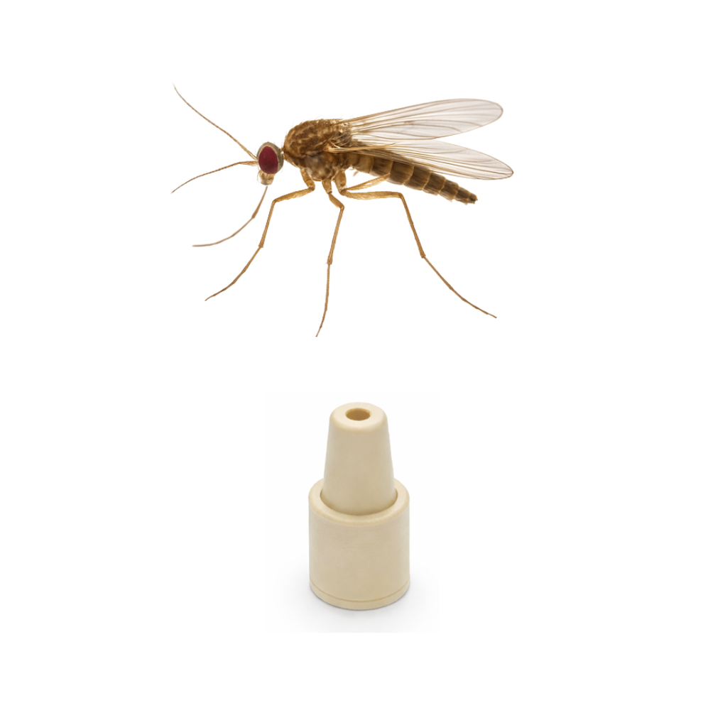 Raspberry cane midge (Resseliella theobaldi) Lure – Russell CropCare