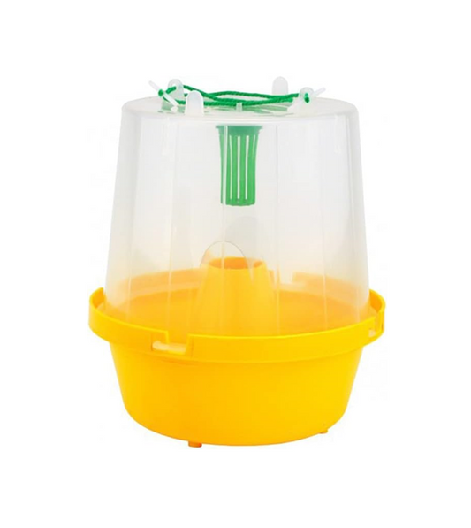 Wasp and Fly Catcher